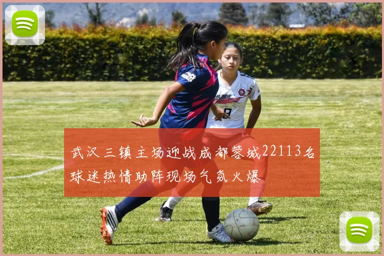 武汉三镇主场迎战成都蓉城22113名球迷热情助阵现场气氛火爆